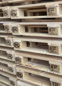Guide complet sur le marquage des palettes : un référentiel clair pour les professionnels de la logistique