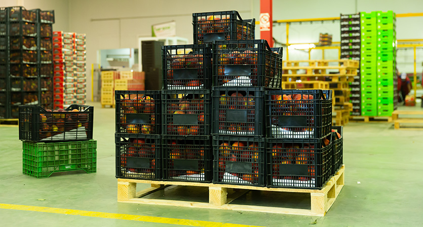 Du champ au point de vente : optimiser la logistique de la récolte avec les bons supports de charge